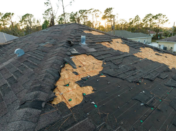 Best Metal Roofing Installation  in Poseyville, IN